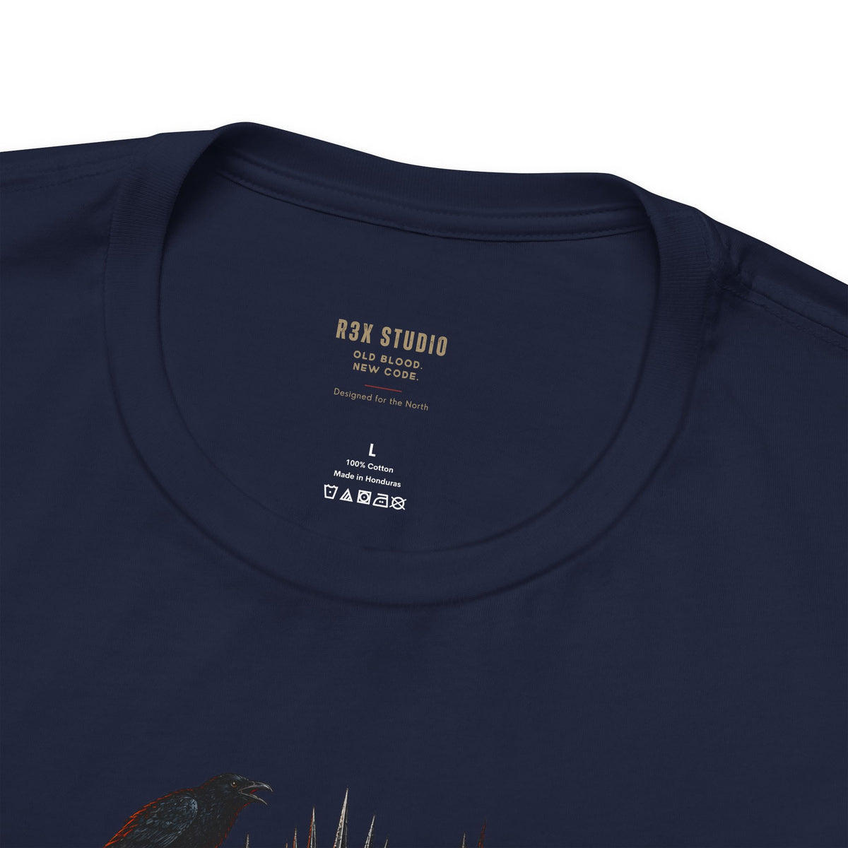 Cold Queen, Dark Throne — Norse Fantasy T-Shirt