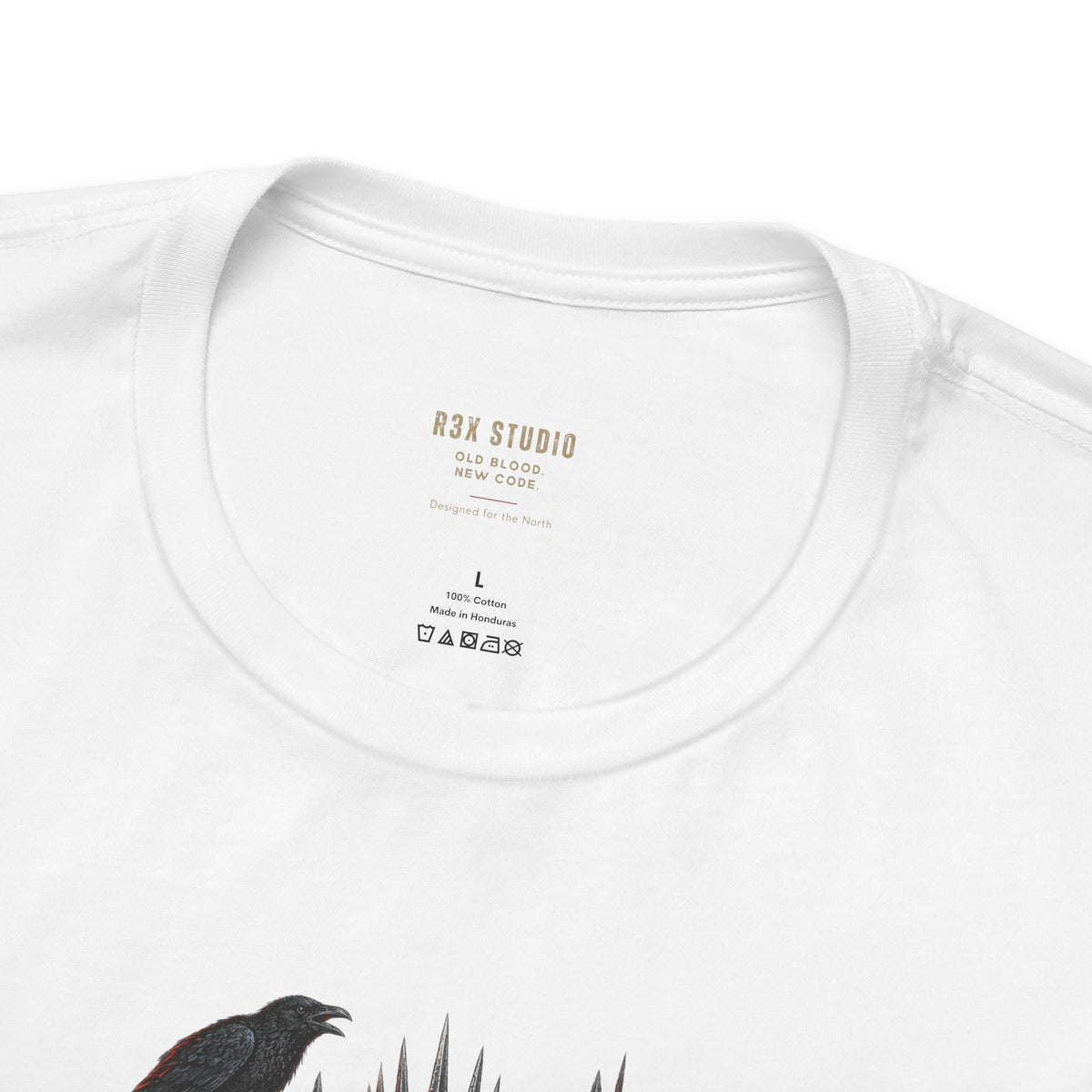 Cold Queen, Dark Throne — Norse Fantasy T-Shirt